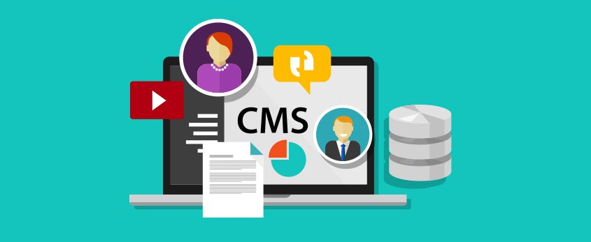 CMS Based Website Development Company in Delhi